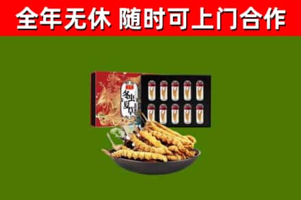 北湖区烟酒回收冬虫夏草礼盒.jpg