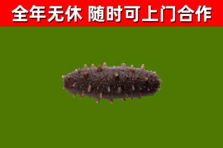 北湖区烟酒回收干海参.jpg